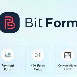 Bit Form Pro Plugin