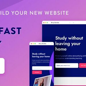 Brizy Pro