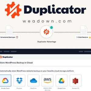 Duplicator Pro