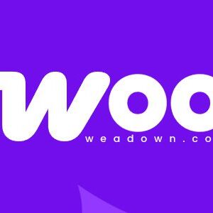 WooCommerce Elavon Converge Payment Gateway