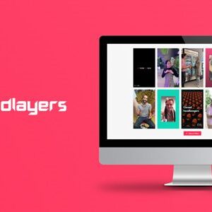 TikTok Feed Pro Plugin