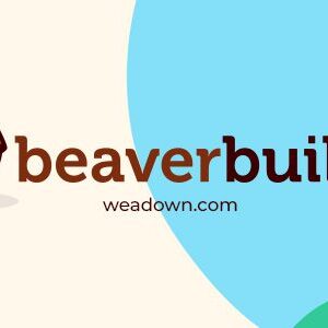 Beaver Builder Pro Plugin  