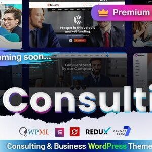 Consultio Theme