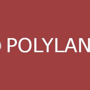 Polylang Pro Plugin