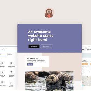 Otter Blocks Pro Plugin