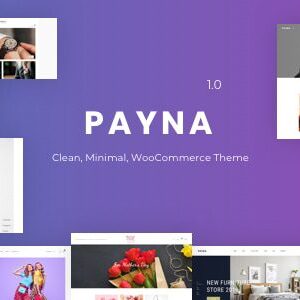 Payna Theme